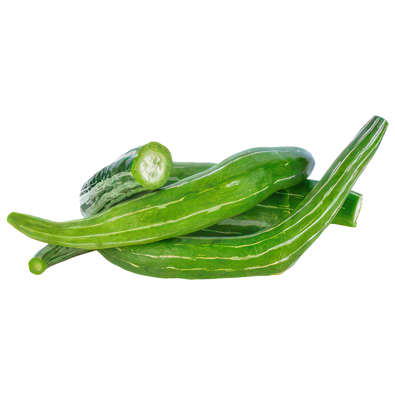 snake gourd